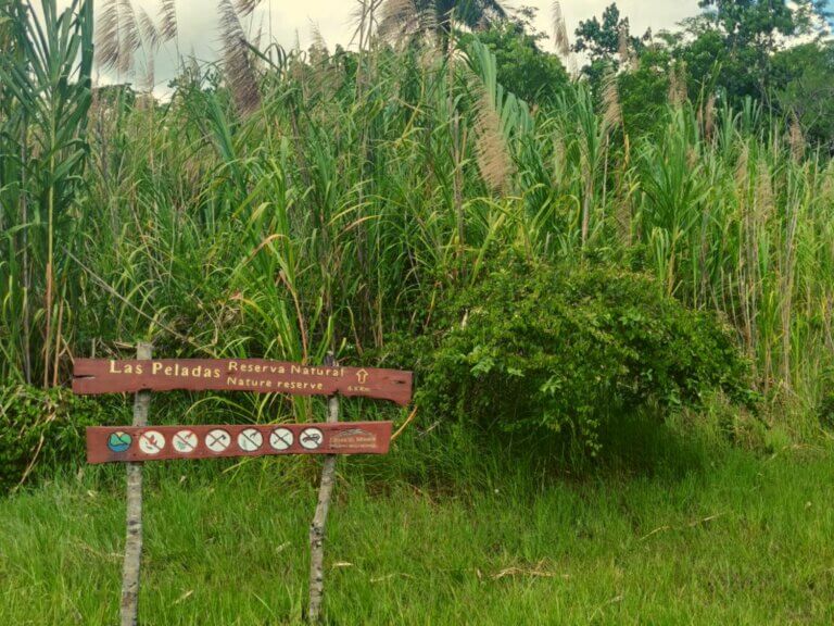 MTB Strecke Las Peladas in Las Terrazas