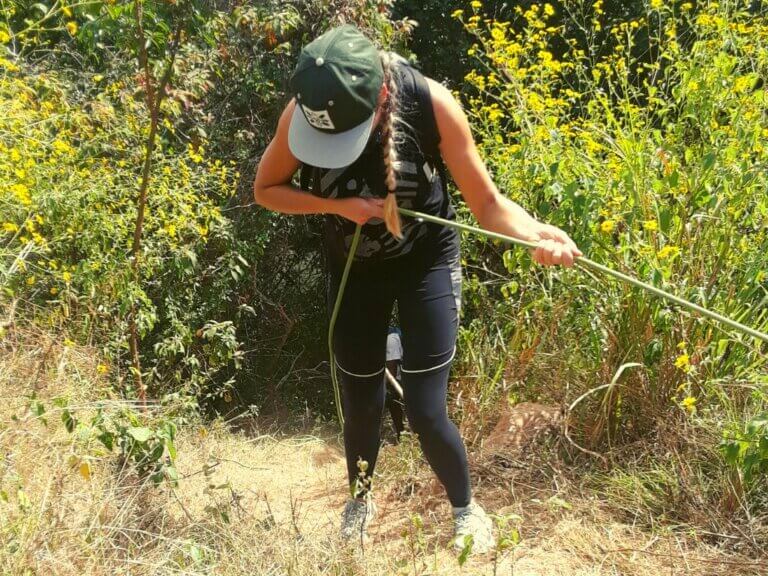 Steiler Abhang im Wald