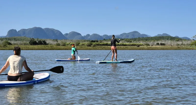 Stand Up Paddle in El Rosario bei Puerto Esperanza