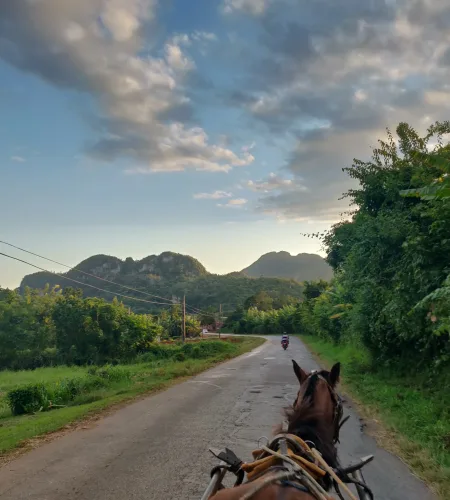 Pferdeausritt in Vinales