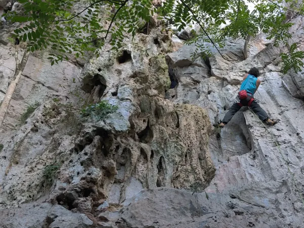 Kletterwand im "Palenque"